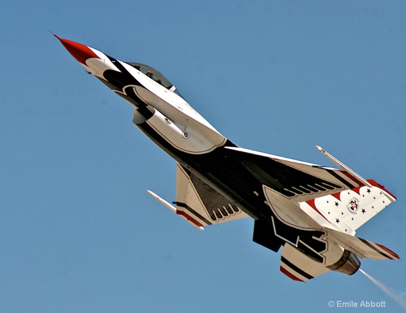 Thunderbird in flight