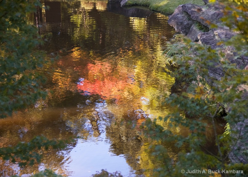 reflections of autumn