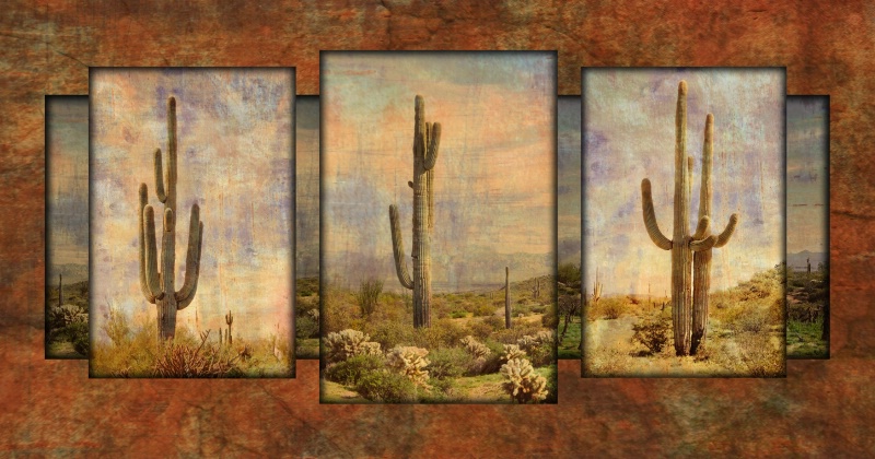 Cactus collage