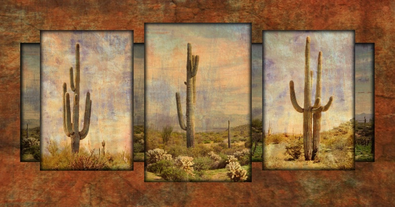 Cactus collage