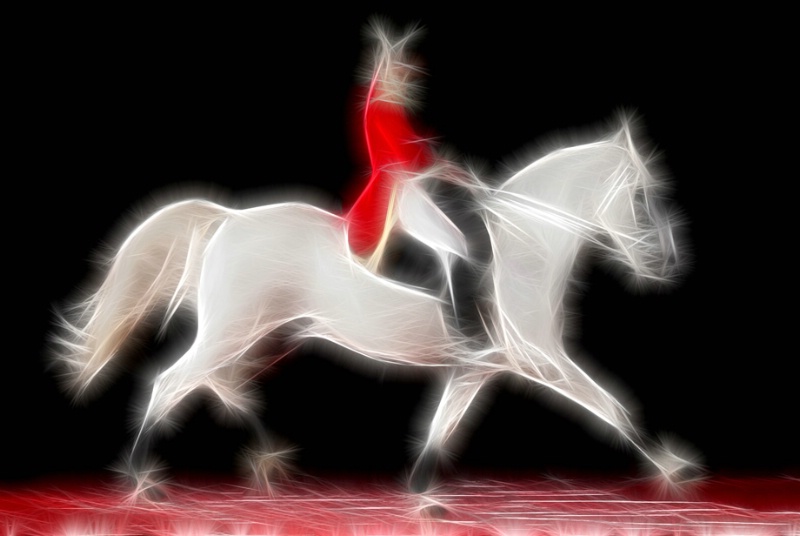 Lipizzaner