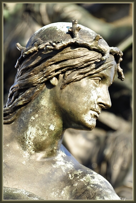 Bronze beauty