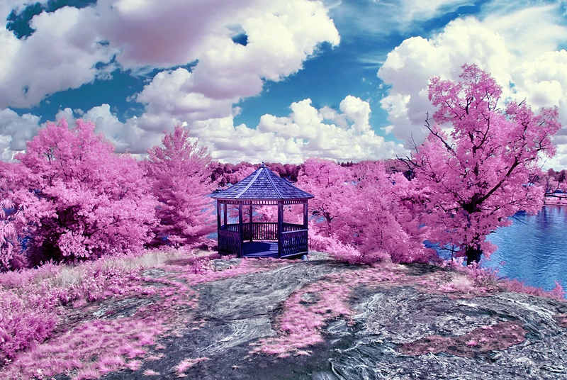 Faux Spring (IR)