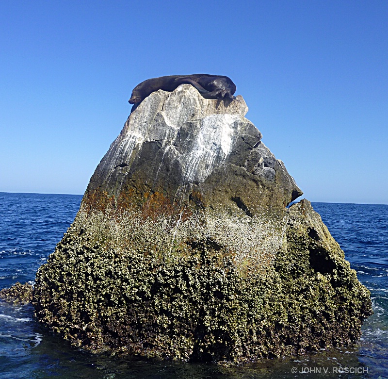 KING OF THE ROCK