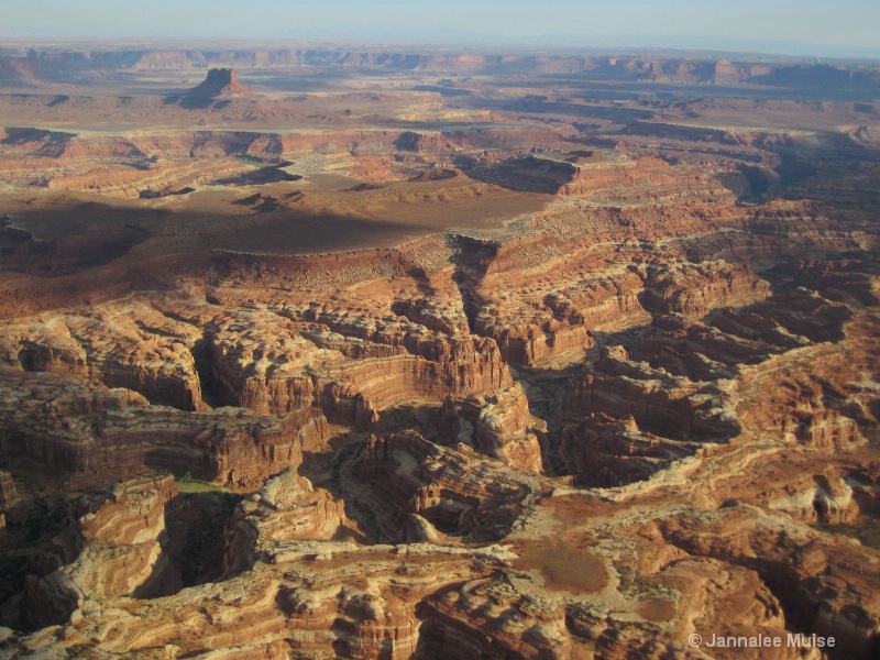 Canyonlands from above