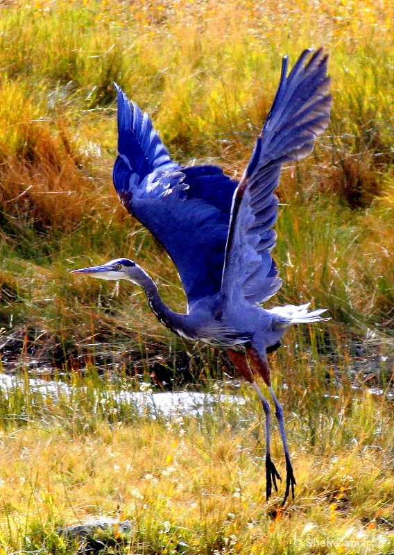 Taking Off!