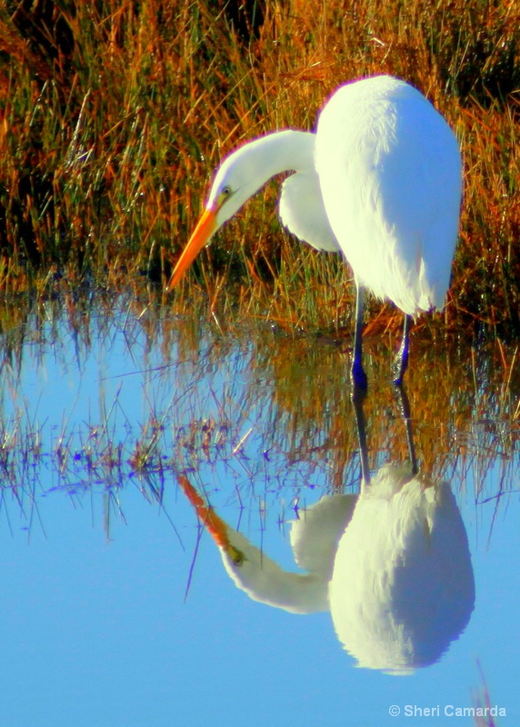 Reflection!