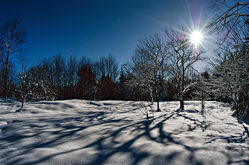 Sun Shadows