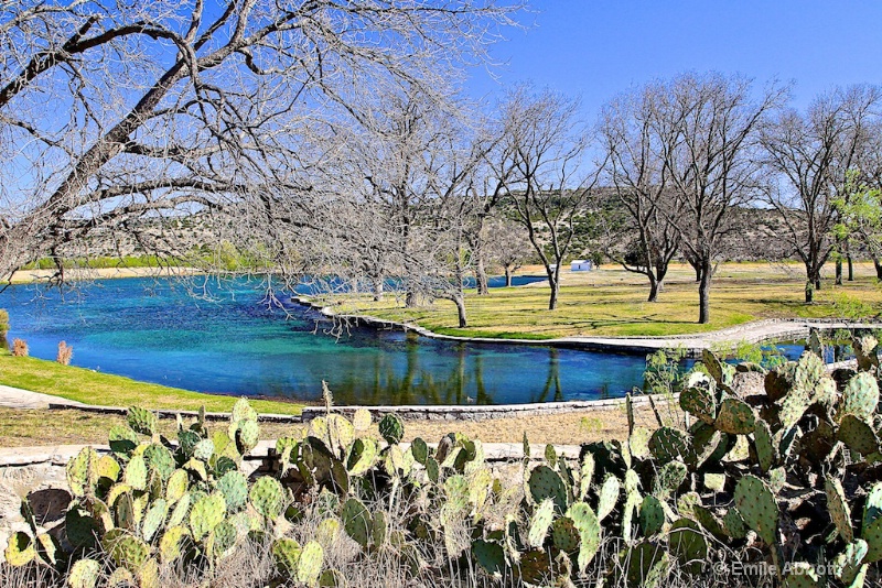 Lake from Carolina Springs