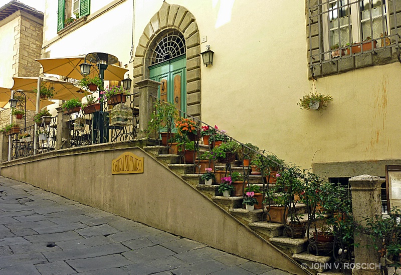 POTTED PLANTS