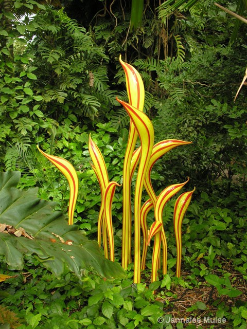 Chihuly at Fairchild Miami birds