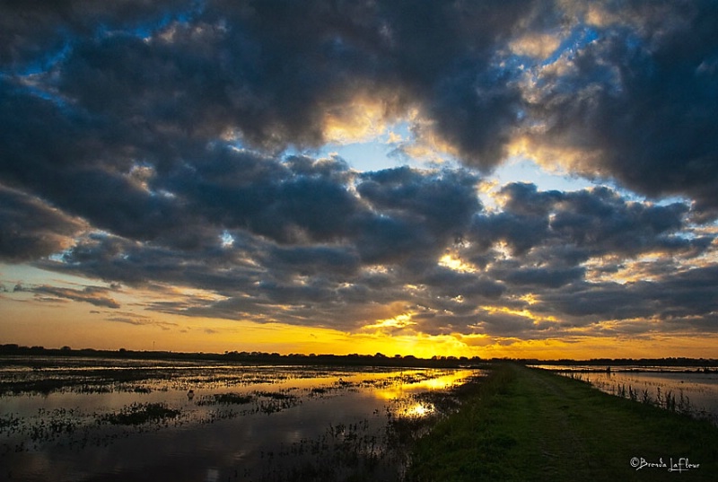 TheSetting Sun
