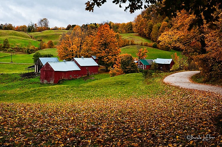 Jenne Farm 