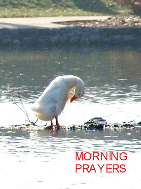 HAGERSTOWN CITY PARK-MORNING PRAYERS