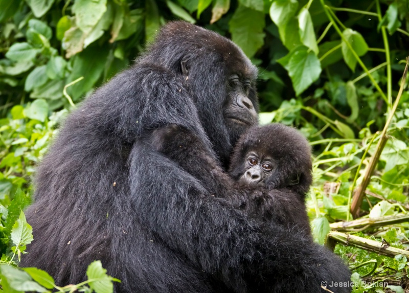 Mother with infant  [Kwitonda family]