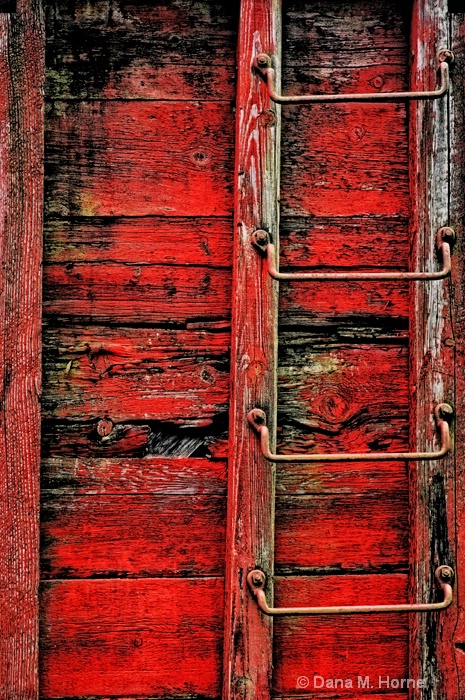 41