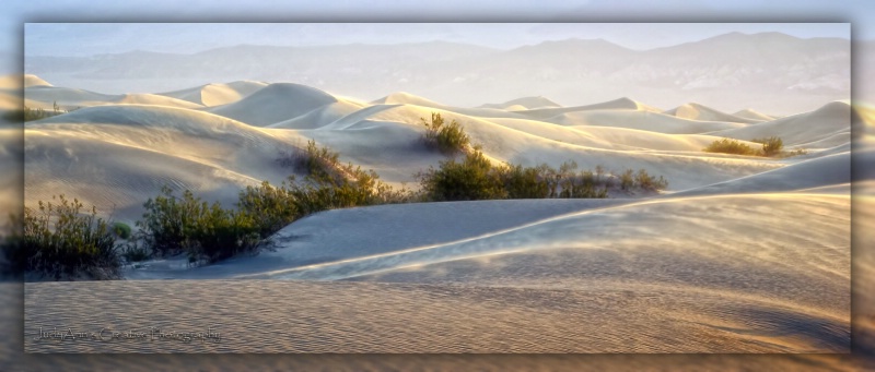 Delicate Dunes