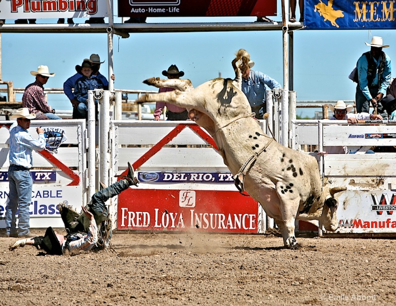 Lines in a bull ride