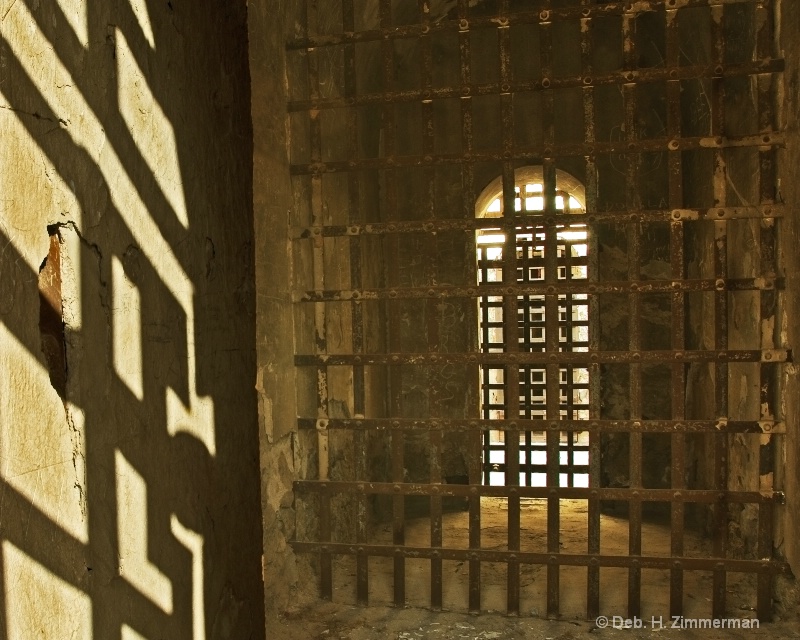 Looking through the cells