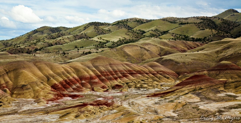 Painted Hills Vista