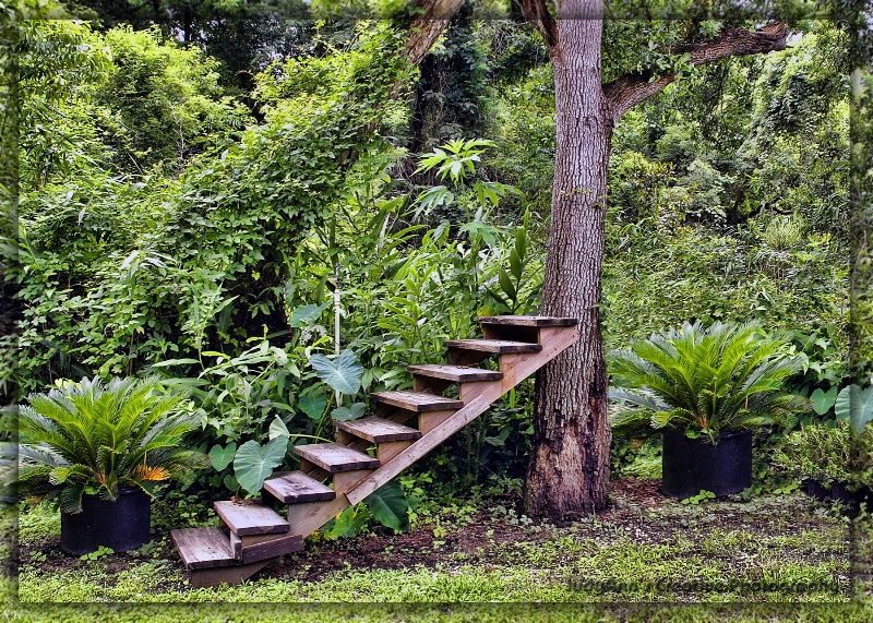 Doesn't everyone have one in their backyard?