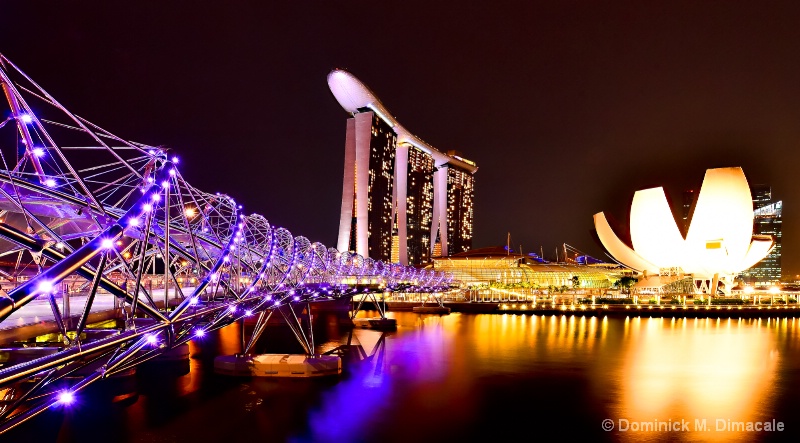 ~ SINGAPORE AT NIGHT ~