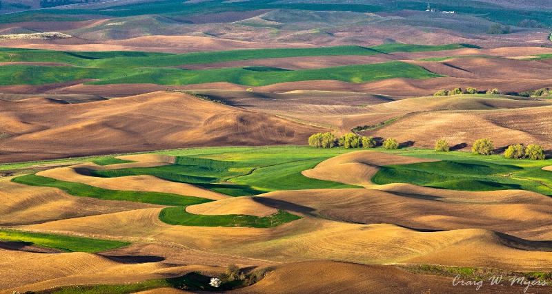 Palouse-Spring Sunrise