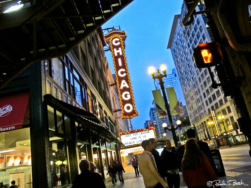 Windy City Night