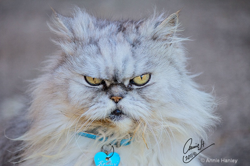 You are annoying me!