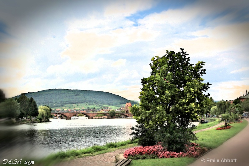 Miltenberg on the Main #3