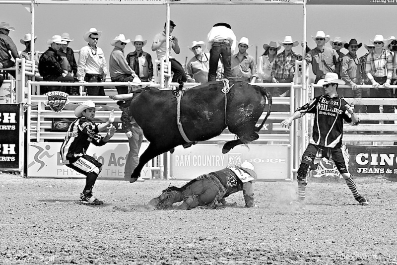 Bull Fighters Save the Day