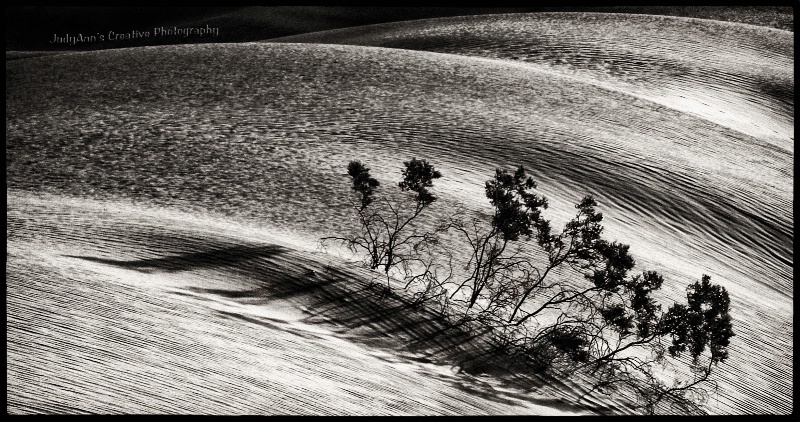 Death Valley Sand Dunes