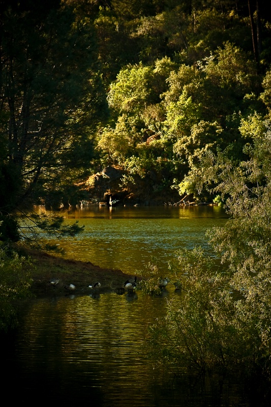 Skunk Hollow At Sunrise