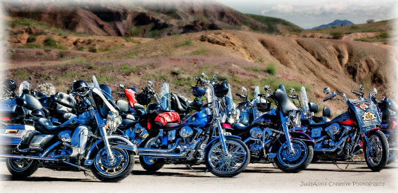 Wild Hogs Ready to GO!