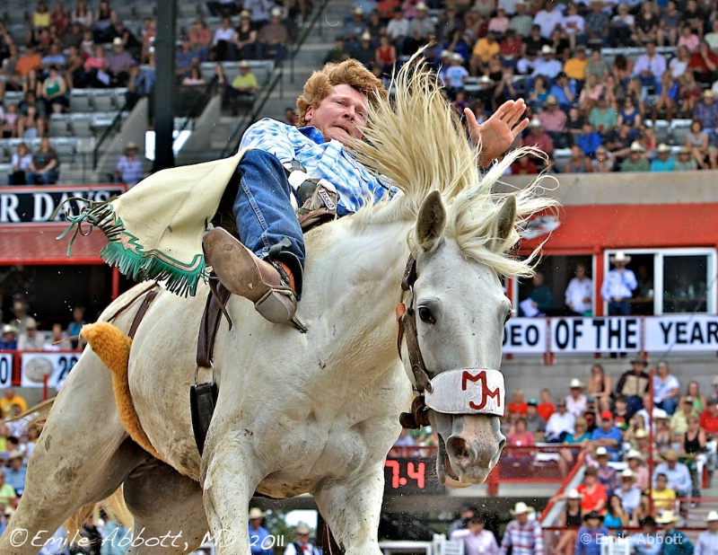 Bareback bronc As close as it gets