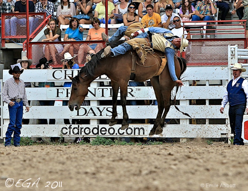 Bare Back Bronc Riding 