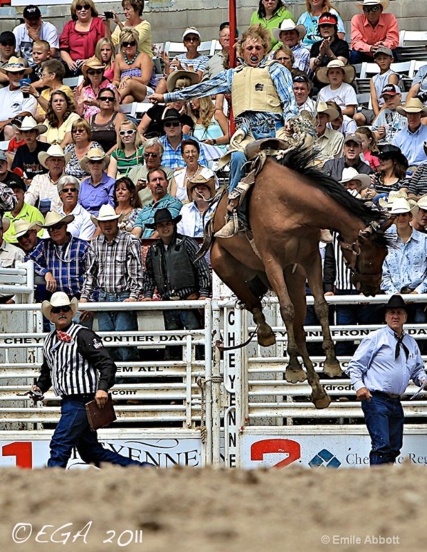 Before the Fall "Rookie Saddle Bronc Riding