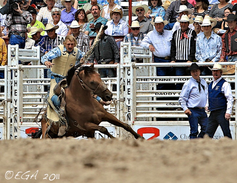 The fallen Bronco