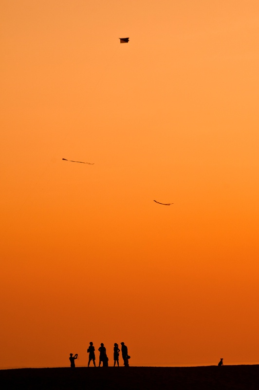 Kite Flying in the OBX