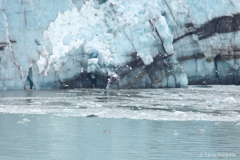 glacier calving