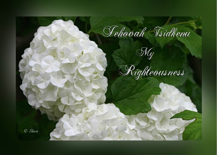 My Righteousness  - S 030