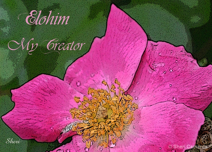 Elohim My Creator  - S 018
