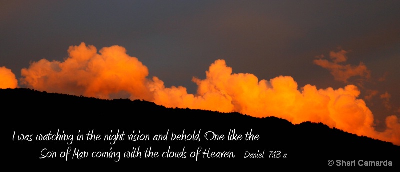 In The Night Clouds  - S 016