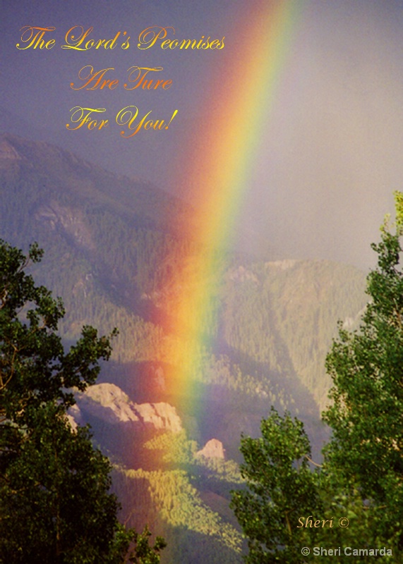 The Lord's Promises  -  S 006