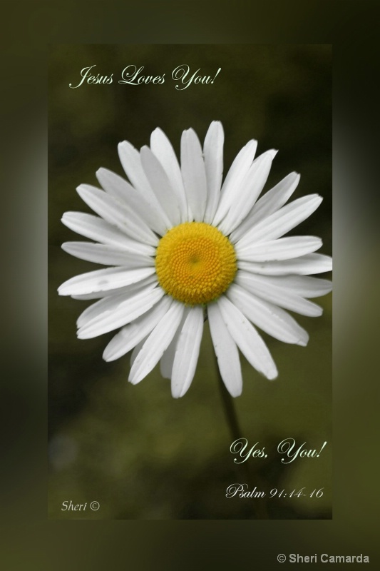 Jesus Loves You -  S 002 