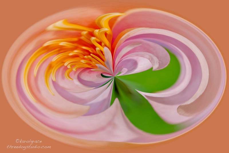Polar Water LIly