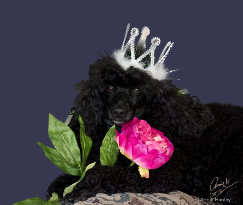Princess - img 1469