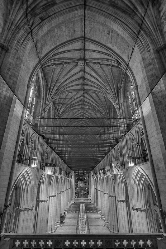 Netted Nave