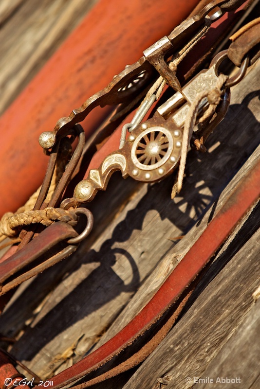 Horse tack and shadows on an angle