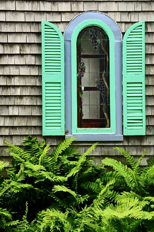 Fern Window